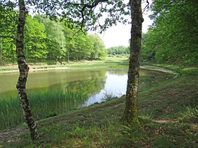 Lake Set On Approximately 5.3 Acres Of.. - 2
