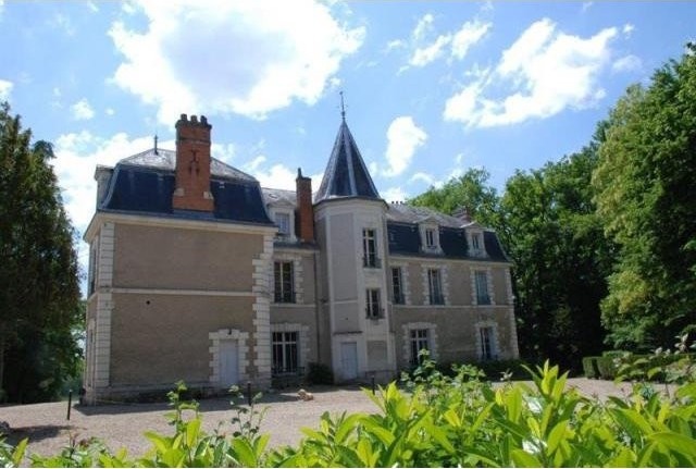 10 bedroom Castle For Sale: 41000 BLOIS - 2