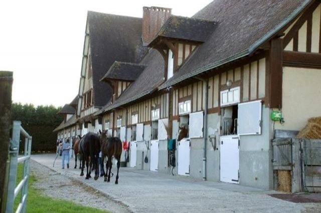 Equestrian For Sale: 60000 OISE - 2