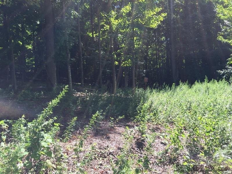 Land For Sale: 16 Hollow Ridge Road.. - 2
