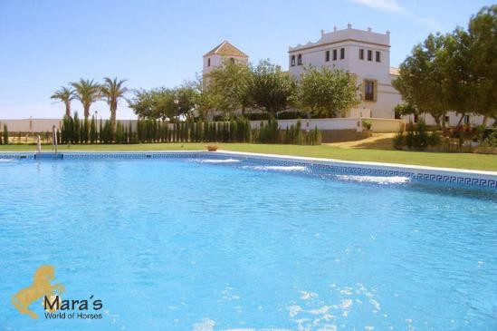 historical Country Hotel Sevilla..