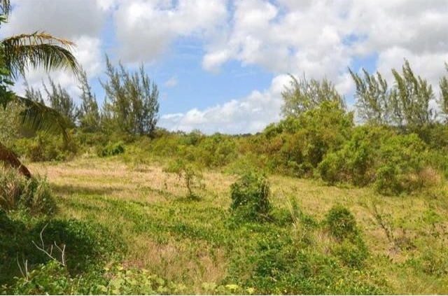 Property For Sale: Campaign Tenantry.. - 2