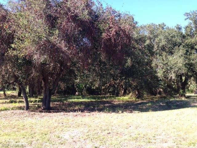 Land For Sale: Fort Myers, Florida - 2