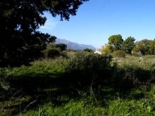 Build In Crete - 2