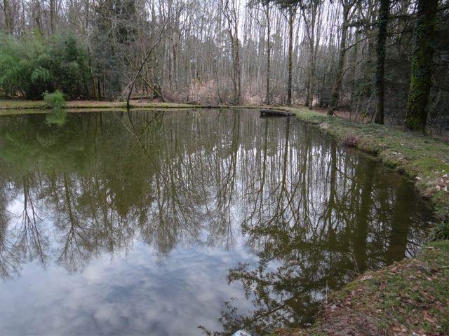 Limousin, At The Border Of The Dordogne.. - 2