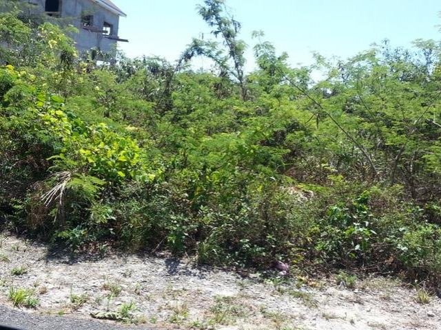 Singlefamilyvacant - This 7,200 sq ft..