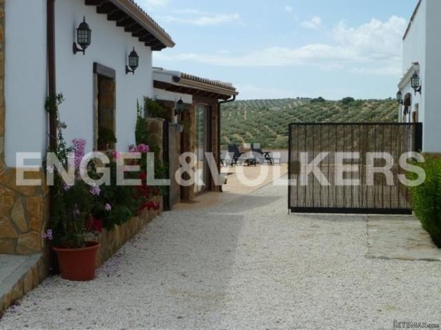 SPECTACULAR VILLA WITH STABLES-ILLORA - 2