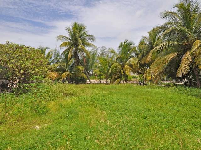 Singlefamilyvacant - This 8,800 sq... - 2