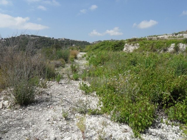 Plot in Teulada - 2