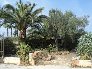 Finca with views to the Bay of.. - 2
