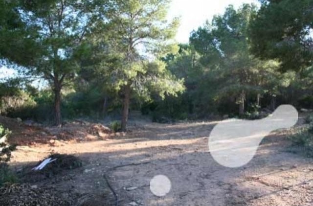 Flat Plot Of 3.797 M2 In One Of The.. - 2