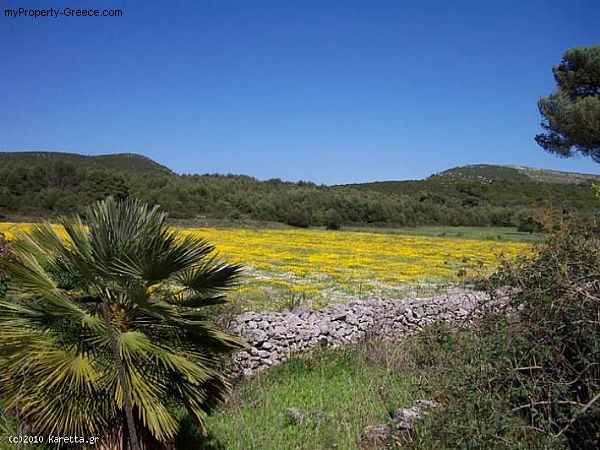 2 Bedrooms - Villa - Zakynthos - For.. - 2