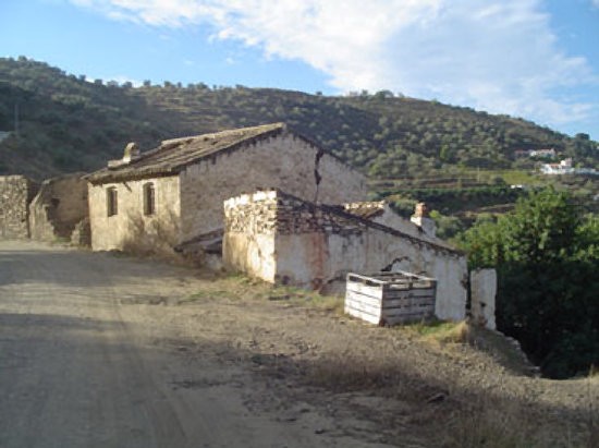Country Houses for Sale in Sayalonga..