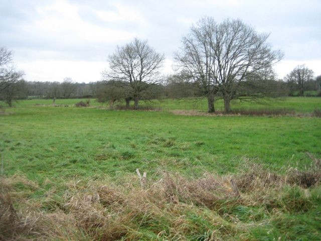 Country Longere with Outbuildings - 2