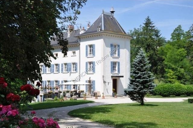8 bedroom Castle For Sale: 26190 SAINT..