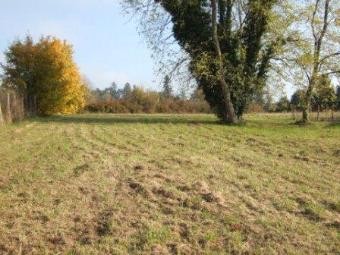 This Is A Prime Piece Of Land Situated..