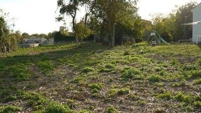 Site - 2