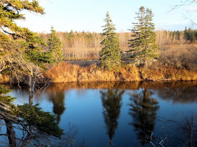 Land For Sale: Lots Big Farm Road Big.. - 2