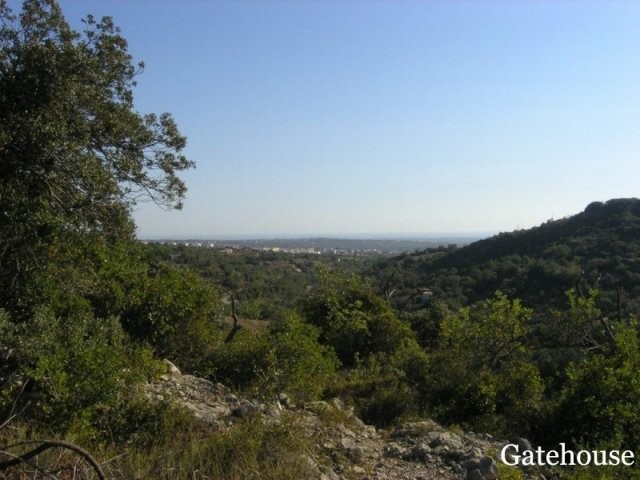 Hill Top 6,864m2 Plot For Sale In Loule..