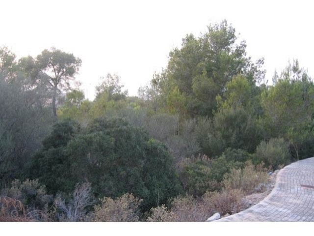 Large And Flat Plot, With Views To..