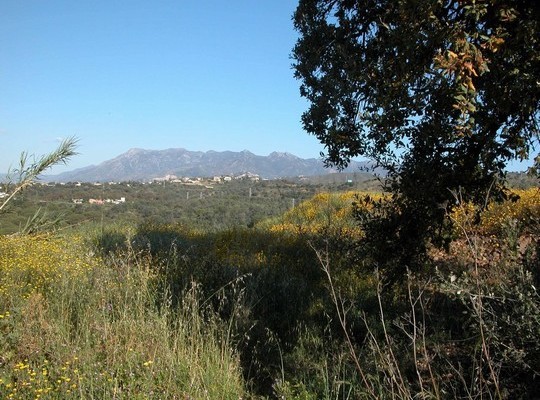 Land for sale in Las Cumbres, Marbella..