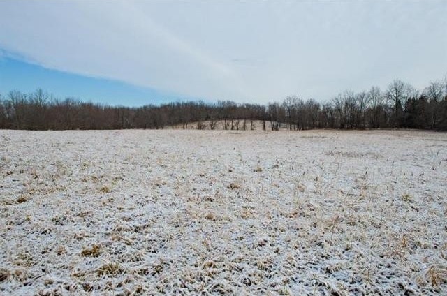 Land For Sale: Montgomery, New York - 2