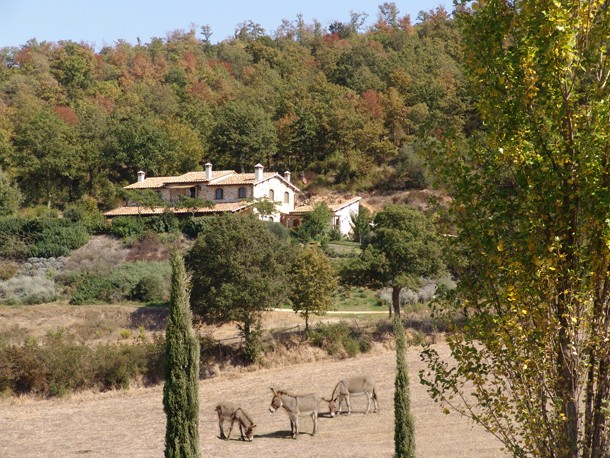 Commercial Property For Sale: Capalbio