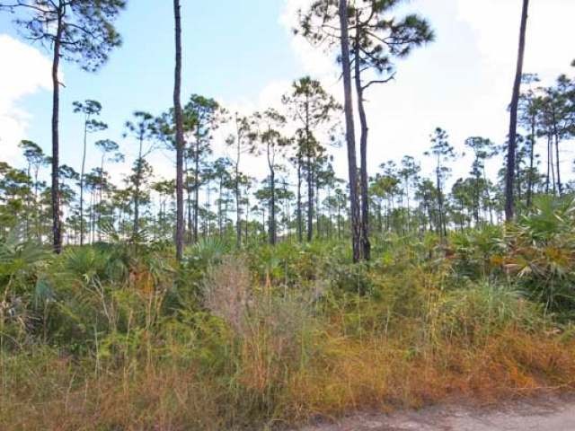 Singlefamilyvacant - Located on.. - 2