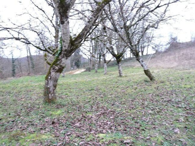 Vente Terrain St Vincent De Cosse - 2