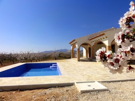 New Finca Pinoso