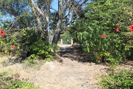 Plot in Denia