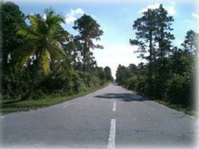 Singlefamilyvacant - Nice elevated lot.. - 2