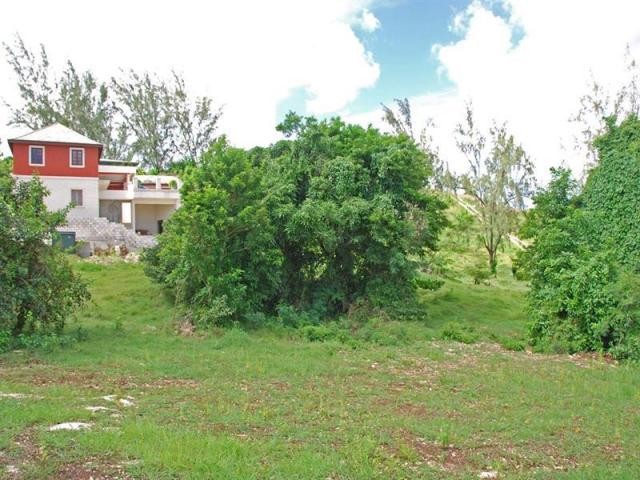 Property For Sale: Countryside Lot 30.. - 2