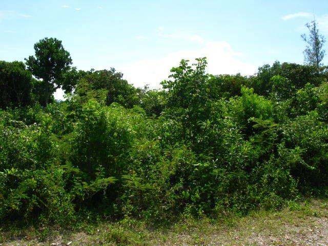 Singlefamilyvacant - Ready to beach?.. - 2