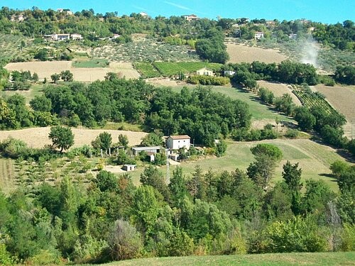 Stunning detached property with land to.. - 2