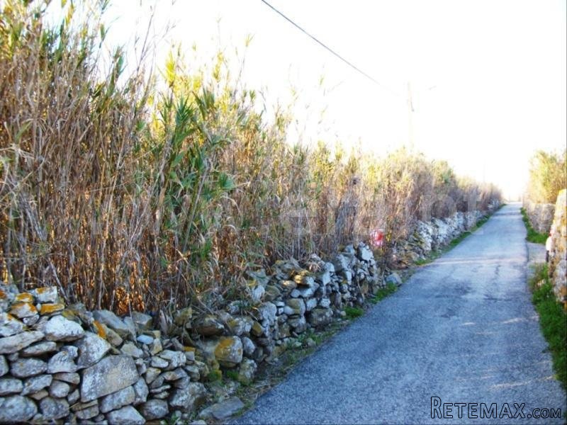 Plot, Peniche, Peniche - 2
