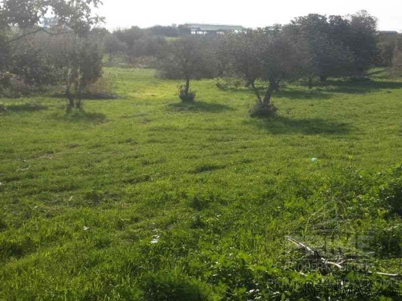 Land in Larnaca, Cyprus, for Sale -..