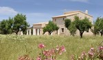 4 Bedrooms - Finca - For Sale