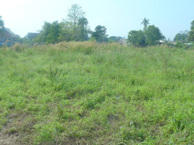 Huai Yai: Plot of land for private home.. - 2