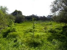 Crete Land For Sale In Quiet Setting - 2