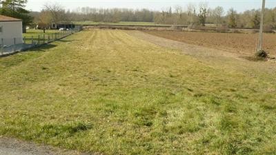 Site