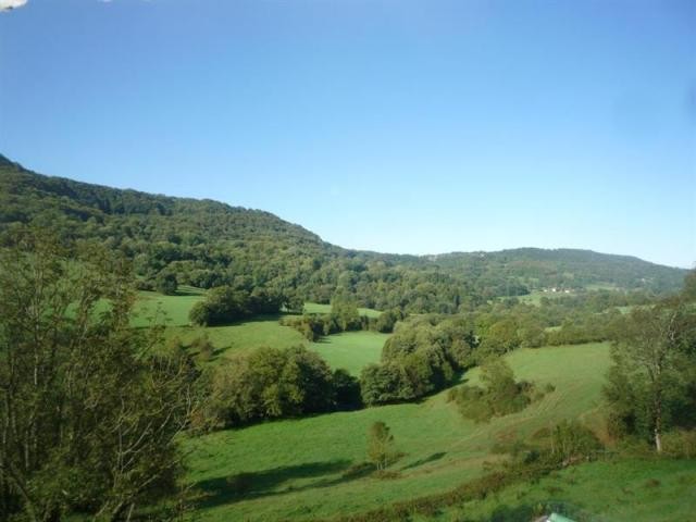5 bedroom Castle For Sale: 15140 SALERS - 2