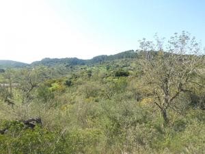 Son Macià, Manacor, finca plot for.. - 2