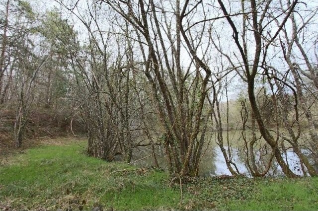 26207 - Vente - Terrain - Vergt