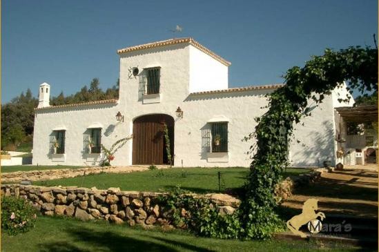 Cortijo country horse property..