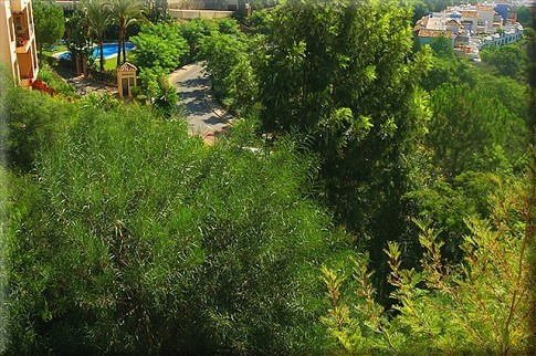 APARTMENT FOR SALE LOS ARQUEROS - 2