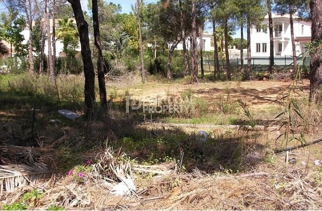 Plot with approved project