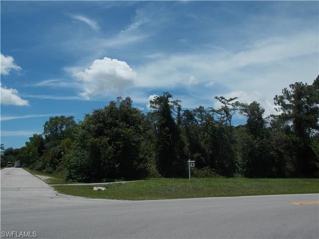 Land For Sale: Naples, Florida