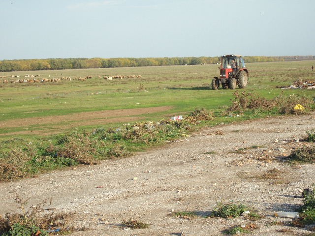 Land in Sokolovo, Balchik - 2