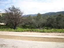 Plot For Sale In Crete - 2